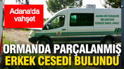 Adana&rsquo;da ormanda par&ccedil;alanmış erkek cesedi bulundu