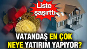 Vatandaş en çok neye yatırım yapıyor? Liste şaşırttı