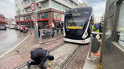 Tramvay durağında kedi seferberliği: 20 dakika mücadele ettiler