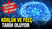 Yapay beyin hücreleri çığır açacak: Körlük ve felç tarih oluyor