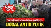 Doğal antibiyotik: Pazarlarda kapış kapış satılıyor… Kilosu 100 TL