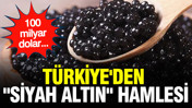 Türkiye'den 'Siyah altın' hamlesi: Yıllık 100 milyon dolar
