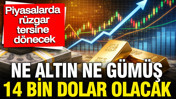 Piyasalarda rüzgar tersine dönecek: Ne altın ne gümüş 14 bin dolar olacak