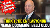 Türkiye'de enflasyonun neden düşmediği belli oldu: Mahfi Eğilmez açıkladı