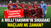 Dünya Kupası'na mağlubiyetle başlayan A Milli Takım'ın sıradaki maçları ne zaman?