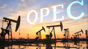 OPEC’ten çarpıcı tahmin: Küresel enerji talebi 2050’ye kadar yüzde 23 artacak