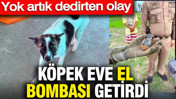 Köpek eve el bombası getirdi: Yok artık dedirten olay
