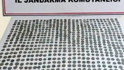 Muş'ta kaçakçılık operasyonu: 85 sikke ve bir yüzük ele geçirildi
