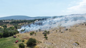 Muğla'da orman yangını