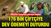 TMO'dan rekor hububat alımı: Milyarlar hesaplara yatmaya başladı