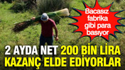 2 ayda net 200 bin lira kazanç elde ediyorlar: Bacasız fabrika gibi para basıyor