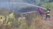 Datça'yı ayağa kaldıran yangın: Helikopter ve arazözler devreye girdi