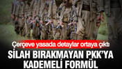 Silah bırakmayan PKK'ya kademeli formül: Çerçeve yasada detaylar ortaya çıktı