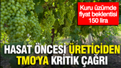 Hasat öncesi üreticiden TMO'ya kritik çağrı: Kuru üzümde fiyat beklentisi 150 lira
