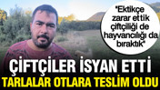 Yüksek maliyetler nedeniyle çiftçiler üretimi durdurdu: ''Ekmesem daha karlıyım''