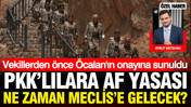 Vekillerden önce Öcalan gördü: Çerçeve yasa TBMM'ye ne zaman sunulacak?
