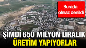 Burada olmaz denildi: Şimdi 650 milyon liralık üretim yapıyorlar
