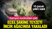 Kamyon kontrolden çıktı: Ecel Sakine teyzeyi incir ağacında yakaladı: 10 çocuk yetim kaldı