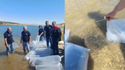 Burdur'daki gölet ve barajlara binlerce yavru sazan bırakıldı
