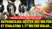 Kaynaklar üreticiye değil yabancıya aktı: Hayvancılığa destek 405 milyon, et ithalatına 1,17 milyar dolar