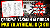 Çerçeve yasanın altından ayrıcalık çıktı: PKK'ya özel yasa geliyor