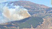 Kahramanmaraş'ta orman yangını