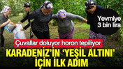 Karadeniz’in ‘yeşil altını’ için ilk adım: Yevmiye 3 bin lira: Çuvallar doluyor, horon tepiliyor