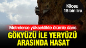 Gökyüzü ile yeryüzü arasında hasat başladı: Kilosu 15 bin liradan satılıyor