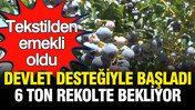 Tekstilden emekli oldu: Devlet desteğiyle başladı, 6 ton rekolte bekliyor