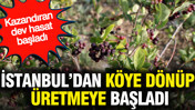 İstanbul’dan köye dönüp üretmeye başladı: Kazandıran dev hasat başladı