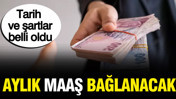Aylık maaş bağlanacak: Şartlar ve tarih belli oldu
