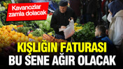 Kışlığın faturası bu sene ağır olacak: Kavanozlar zamla dolacak
