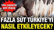 Fazla süt Türkiye'yi nasıl etkileyecek? Dev pazarda şok düşüş