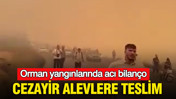 Cezayir alevlere teslim: Orman yangınlarında acı bilan&ccedil;o