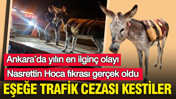 Eşeğe trafik cezası kestiler: Nasrettin Hoca fıkrası gerçek oldu: Ankara’da yılın en ilginç olayı