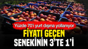 Fiyat geçen senekinin üçte biri: Yüzde 70’i yurt dışına yollanıyor