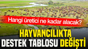 Hayvancılıkta destek tablosu değişti: Hangi üretici ne kadar alacak?