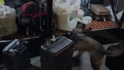 Yolcu otobüsünde kilolarca uyuşturucu