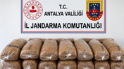 Alanya&rsquo;da kolilerden 144 kilo ka&ccedil;ak t&uuml;t&uuml;n &ccedil;ıktı