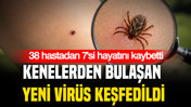 Kenelerden bulaşan yeni virüs keşfedildi: 38 hastadan 7'si hayatını kaybetti