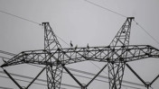 Spot piyasada elektrik fiyatları belirlendi (14 Eylül 2026)