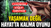 Yaşamak değil, hayatta kalma oyunu: 28 bin TL maaş, 50 bin TL açlık