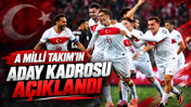 A Milli Takım'ın aday kadrosu açıklandı: 4 futbolcu ilk kez davet edildi