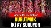 İğneyle tek tek diziliyor: Kurutması 2 ay sürüyor