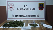 Bursa'da uyuşturucu operasyonu