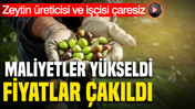 Zeytin üreticisi ve işçisi çaresiz: Maliyetler yükseldi, fiyatlar çakıldı