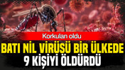 Korkulan oldu: Bir ülkede Batı Nil Virüsü 9 kişiyi öldürdü