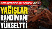 Yağışlar randımanı yükseltti ama üreticinin bir sorunu var