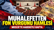 Meclis'te yeni dönem başlıyor: Gündemde dikkat çeken 3 başlık var