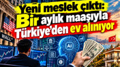 Yeni meslek çıktı: bir aylık maaşıyla Türkiye’den ev alınıyor